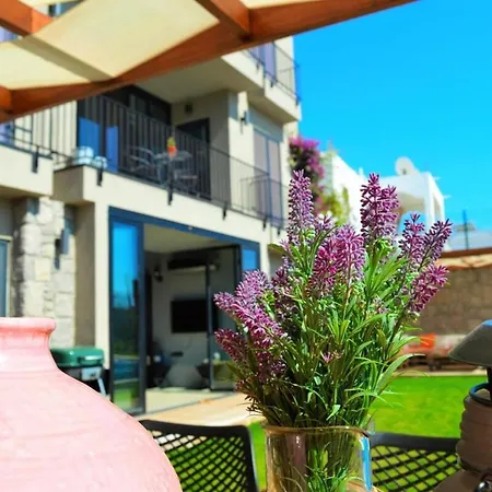 With Private Pool & Garden Villa